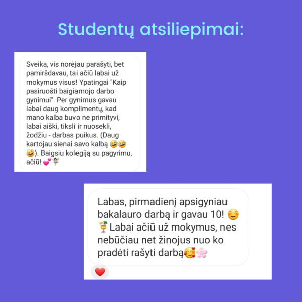 Online mokymai ,,Pasiruošk baigiamojo darbo gynimui" - Image 3