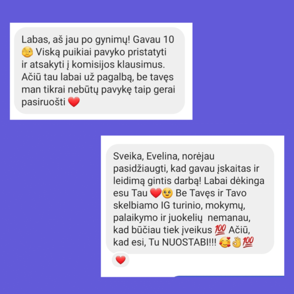 Online mokymai ,,Pasiruošk baigiamojo darbo gynimui" - Image 4